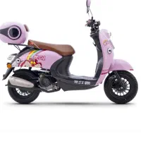 پاکشتی صفر پلاک ملی