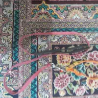 وسایل کامل برای نگهداری گربه و سگ|لوازم جانبی حیوانات|ایرانشهر, |دیوار