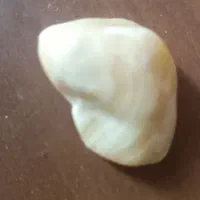 سنگ ارزشی|کلکسیون اشیاء عتیقه|مشهد, سجاد شهر|دیوار