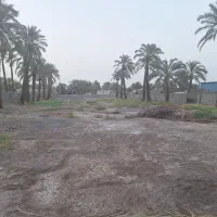 ۲۵۰ متر زمین با پروانه