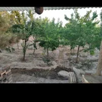 باغ جاده کلات ۵۰۰ متری دوممر|فروش خانه و ویلا|مشهد, رده|دیوار