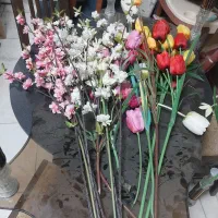 تعدادی گل خارجی