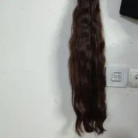 بانک مو با بهترین قیمت
