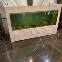 آکواریوم بزرگ ۲ متر