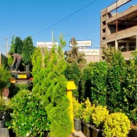 گل‌وگیاه تزئینی گلخانه آقای گل
