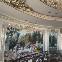 نقاشی و پتینه و تزئینات داخلی ساختمان خانم بینا