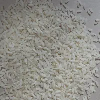برنج لنجان