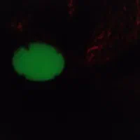 سنگ گوهر شب چراغ