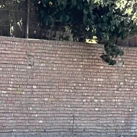 زمینکاربری صنعتی ۲۴۰متر کوچه ۱۰متری ابعاد ۱۲در ۲۰