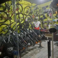 دوچرخه حرفه ای