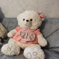 خرس خارجی در حد نو