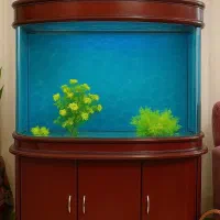 آکواریوم تمام تجهیز
