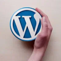 آموزش مبتدی تا حرفه ای طراحی سایت با وردپرس