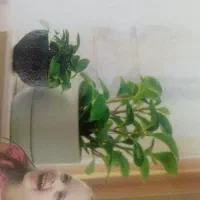 بن سرای ایرانی