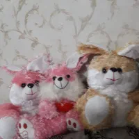 عروسک|اسباب‌بازی بچه|کرمانشاه, |دیوار