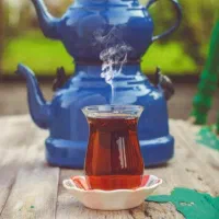 فال و سرکتاب