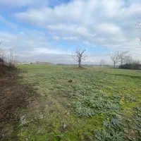 فروش زمین ۴۲۰ متری مازندران|فروش زمین و ملک کلنگی|جویبار, |دیوار