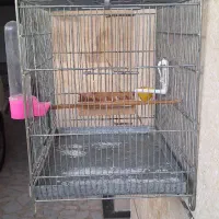 قفس سهره.یا قناری.