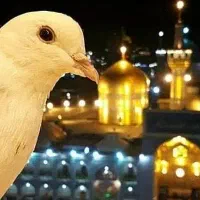 امکان پرداخت به‌صورت نقد و اقساط* تور مشهد