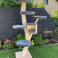 درختچه بازی (اسکرچر) گربه