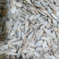 مغز گردو، مغز تخمه آفتابگردان ، مغز تخمه هندوانه