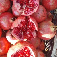 فروش انار ارسنجان|خوردنی و آشامیدنی|ارسنجان, |دیوار