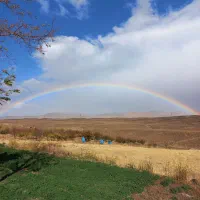 مزرعه بادام کشاورزی پرورش ماهی
