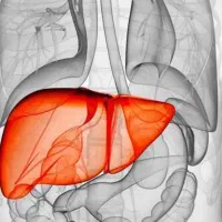 راهنمایی میکنم