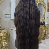 فروش ، خریدار اصلی مو|آرایشی، بهداشتی، درمانی|قم, زنبیل آباد|دیوار