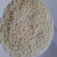 برنج هاشمی گیلان