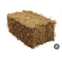 پرس گندم