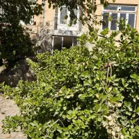 خانه باغ قدیمی برای عکاسی و فیلم برداری