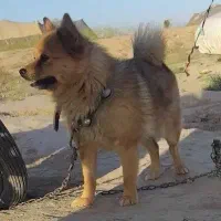 از عوامل آگهی ممنونم