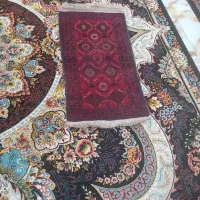 فرش دست بافت|فرش|تربت‌حیدریه, شهرک ولیعصر|دیوار