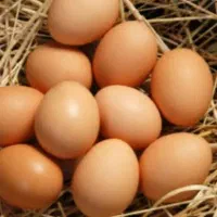 تخم مرغ محلی