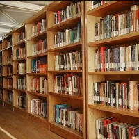 فروش کتاب با قفسه