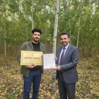 نـهـال صـنـوبـر سرمایهگذاری بلندمدت و مطمئن