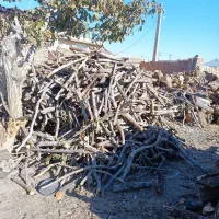 زغال کبابی چوب میوه|عمدهفروشی|ملایر, |دیوار