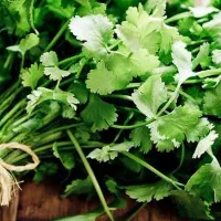 خدمات سبزی انواع|خوردنی و آشامیدنی|قم, حاج خلیل|دیوار