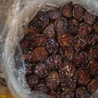 فروش محصولات جنوب