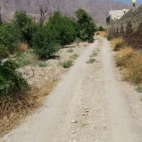 باغچه بکر در مهارلو|فروش زمین و ملک کلنگی|شیراز, شاه قلی بیگی|دیوار
