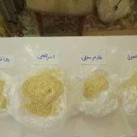 فروش انواع برنج ایرانی خودم کشاورزم