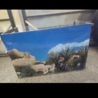 اکواریوم ، پمپ هوا ، ماهی فایتر ، سنگ اکواریوم