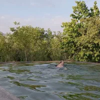 باغ-ویلا-4000-متری-در-منطقه-ای-خنک-و-کوهستانی