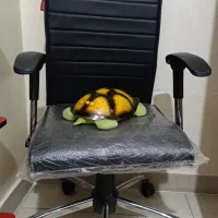 سرویس خواب نوجوان|تخت و سرویس خواب|شهریار, شهریار|دیوار