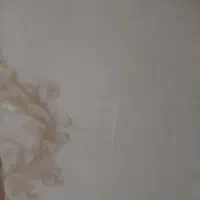 اجاره خونه ولنده سفلی خیابان گلستان