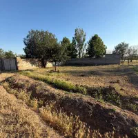 زمین-کشاورزی-بسطام-با-نازلترین-قیمت