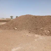 کود حیوانی کود طبیعی کود کمپست