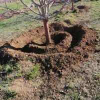 فروش کود دامی یا پهن تر