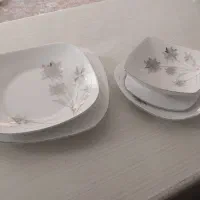 ظروف پذیرایی